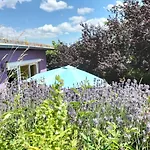 Ausblick Maisenbach Бад-Либенцелль