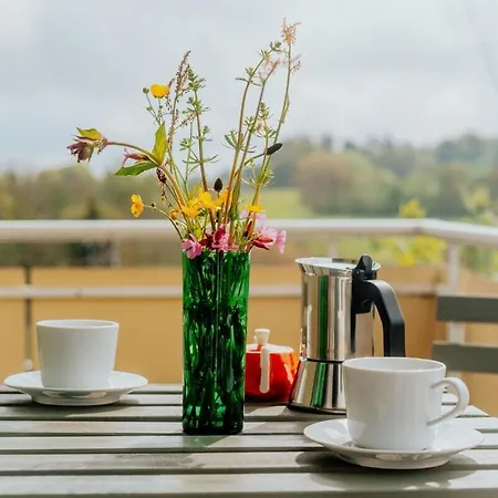 Ausblick Maisenbach Apartment