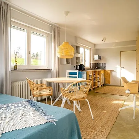 Ausblick Maisenbach Apartment Bad Liebenzell